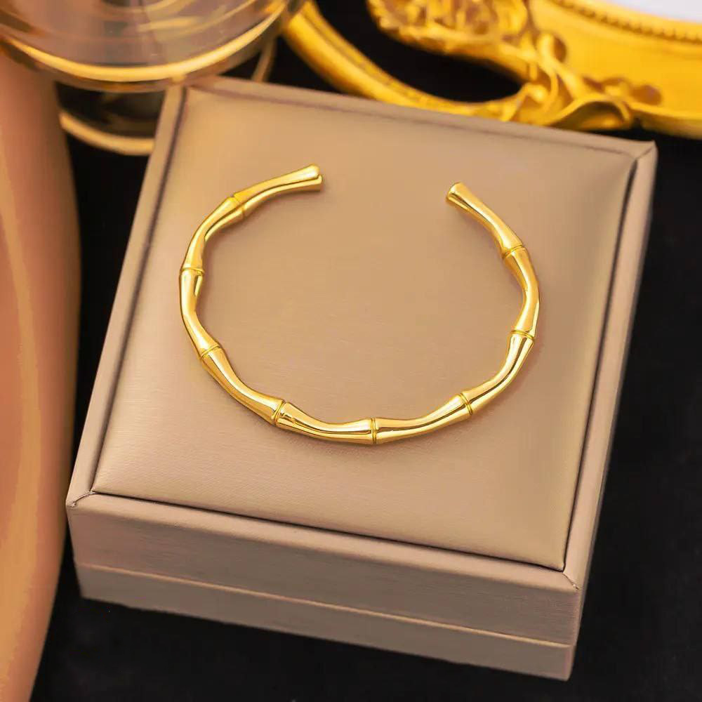 Stainless Feriha Bangle