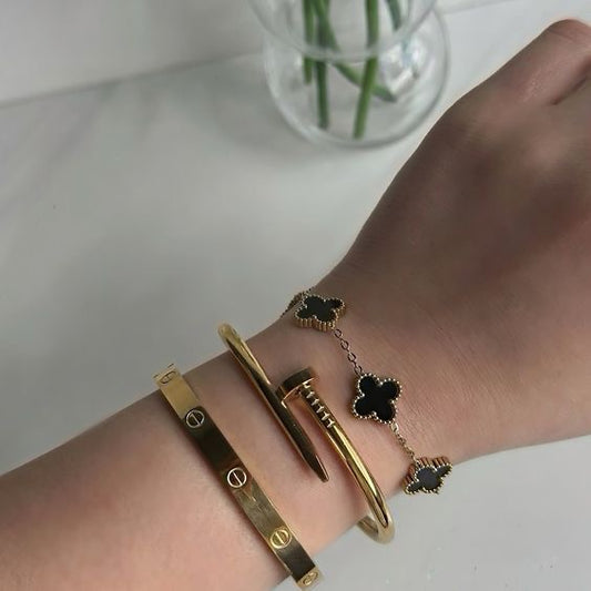 Stainless Steel Cartier, Nail and Black Van Cleef Set