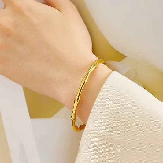 Stainless Feriha Bangle