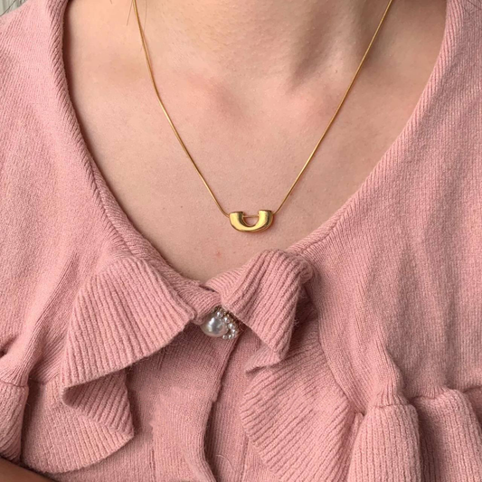 Stainless AYSU Necklace