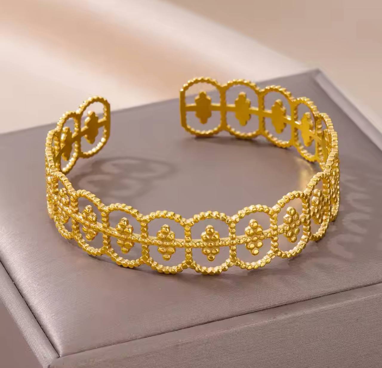 Stainless Manuela Bangle