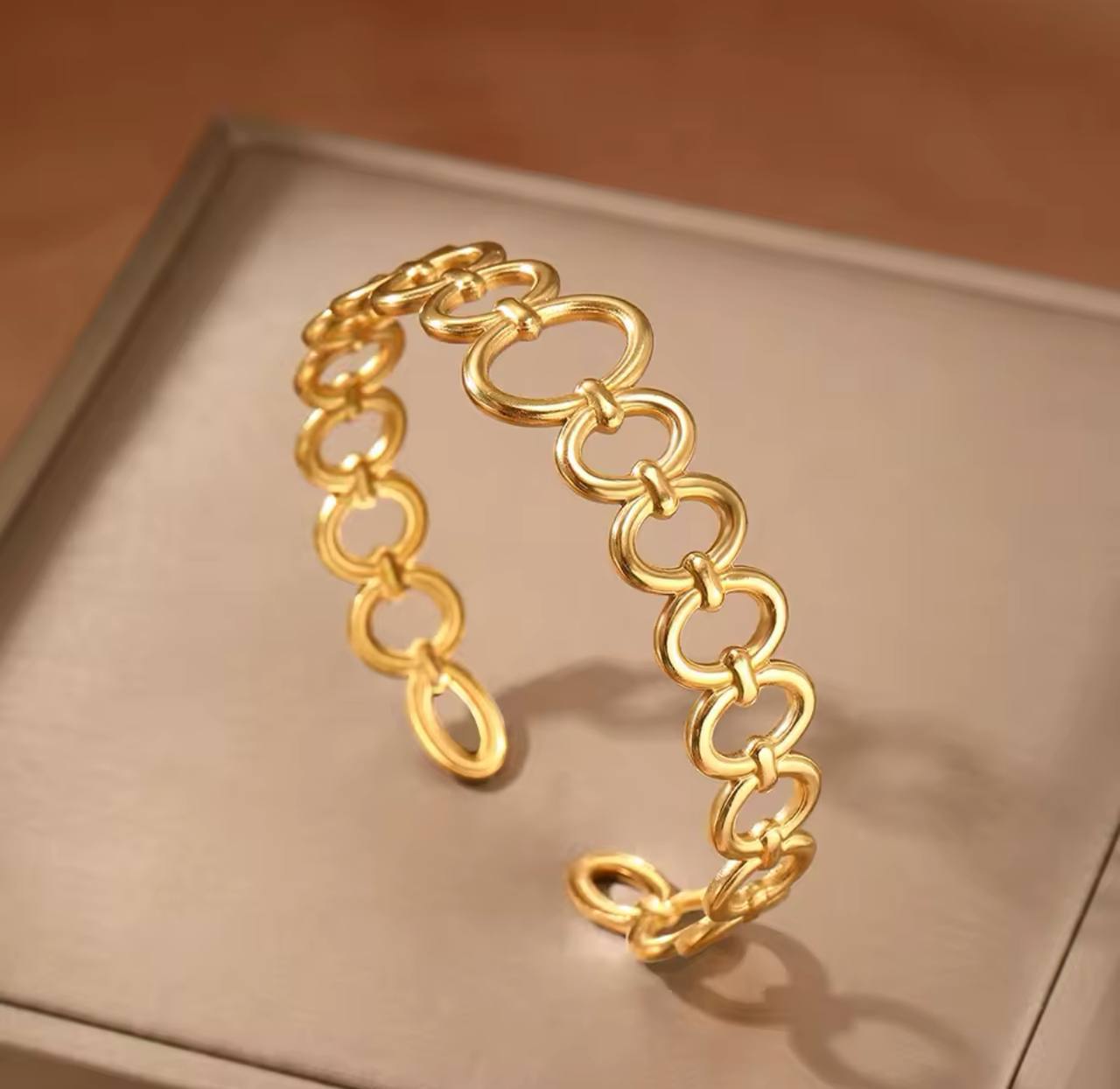 Stainless Carlota Bangle