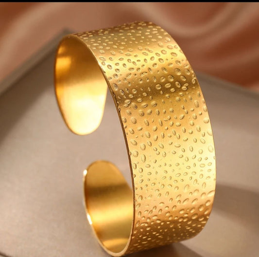 Stainless Paula Bangle