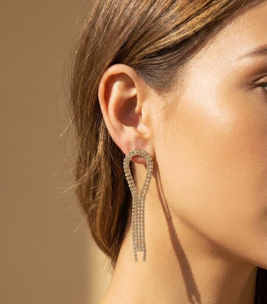 Stainless Steel Celine Earring