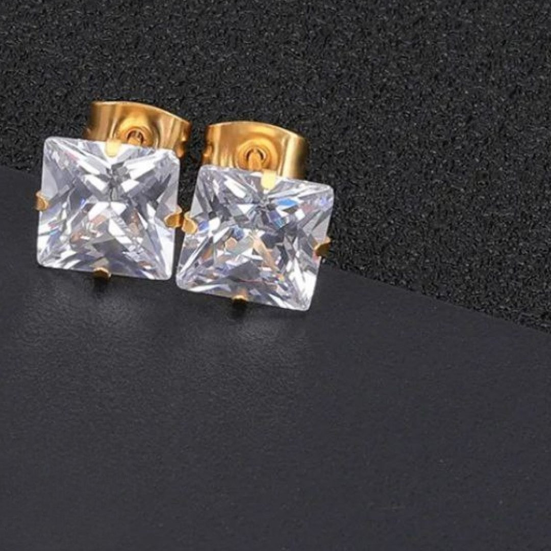 Stainless Steel Remi Earring
