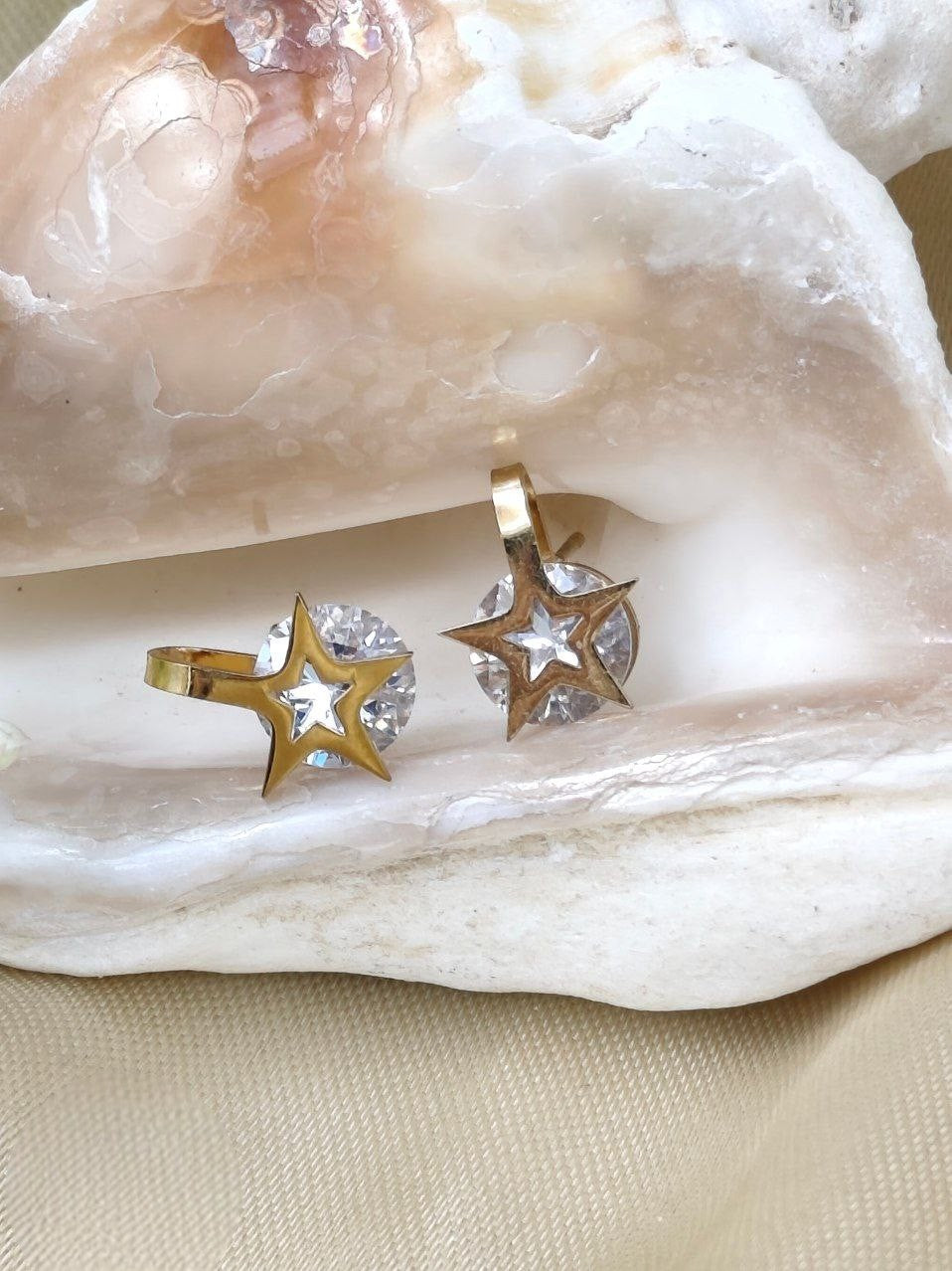 Stainless Steel Brielle Earring