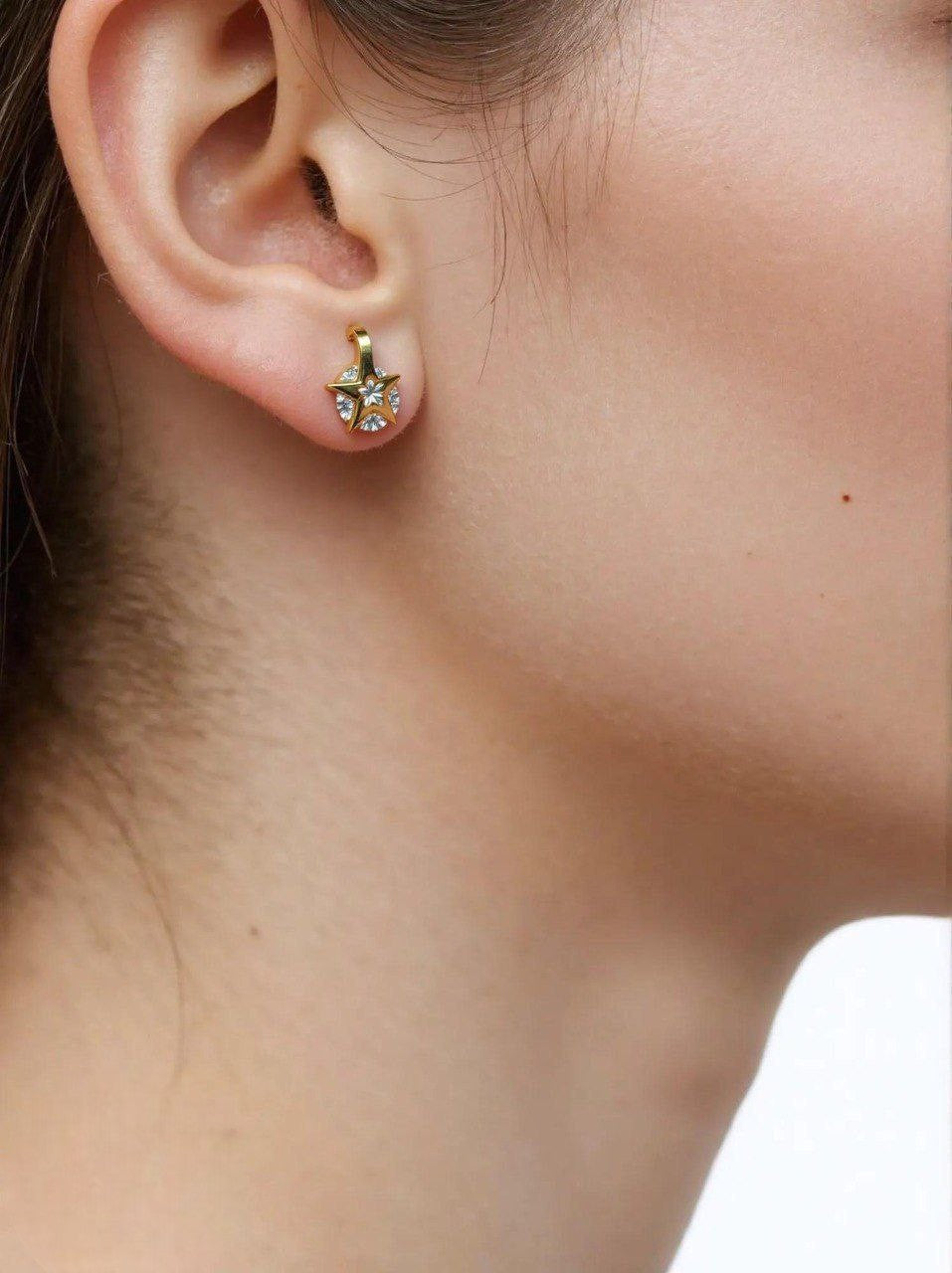 Stainless Steel Brielle Earring