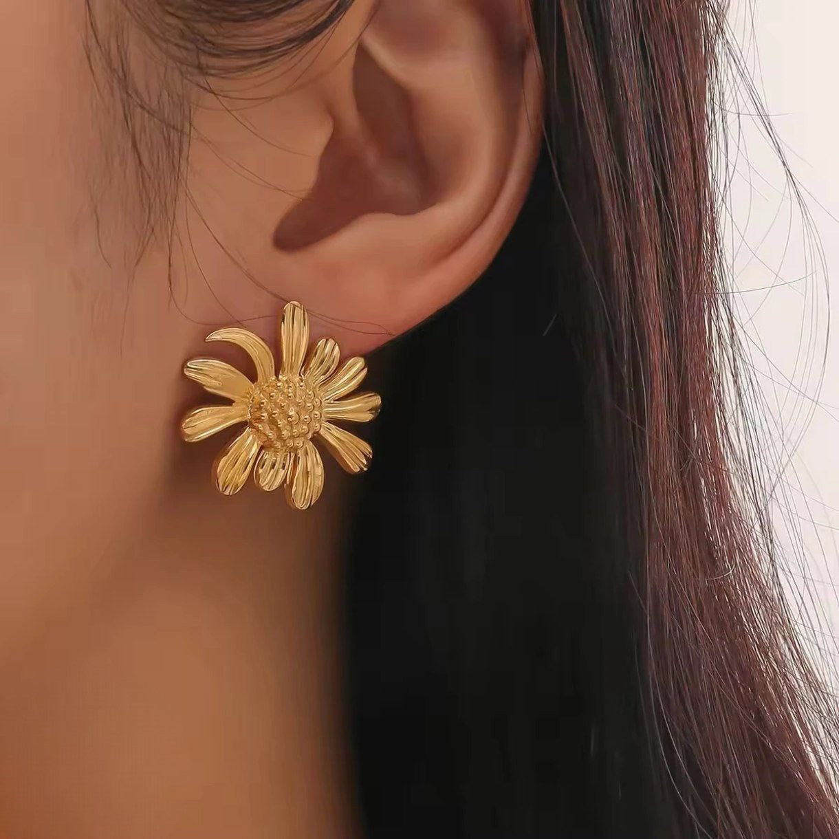 Stainless Steel Ailany Earring